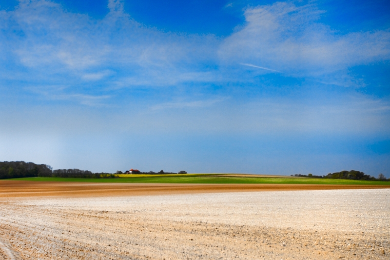 IMG_1730-Modifier.jpg - cette photo et les 2 précédentes, ont été traitées pour accentuer les couleurs.