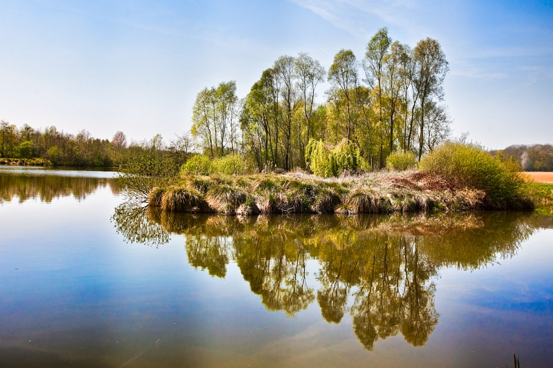 IMG_1741-2.jpg - La ballade se fait le long de la somme/marais environnants.