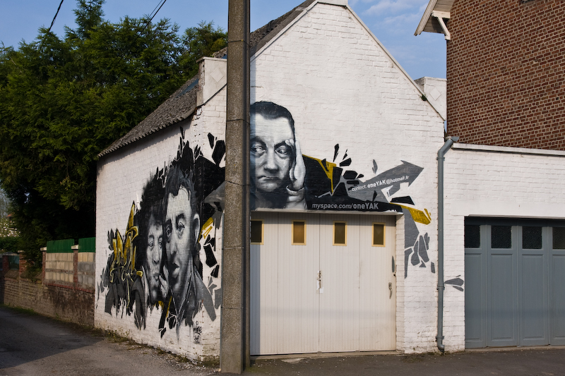 IMG_5334.jpg - avant d'arriver aux marais on peut voir cette peinture originale.