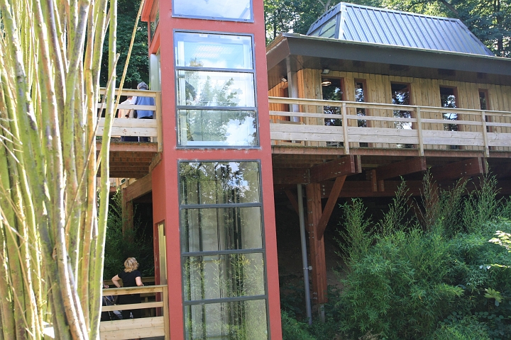 IMG_3084.JPG - ascenseur handicapés