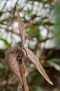 IMG_1903