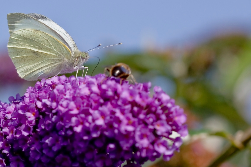 IMG_0713-1.jpg