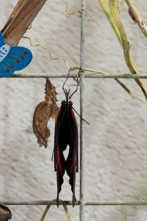 IMG_9596.jpg - naissance juste à coté de moi