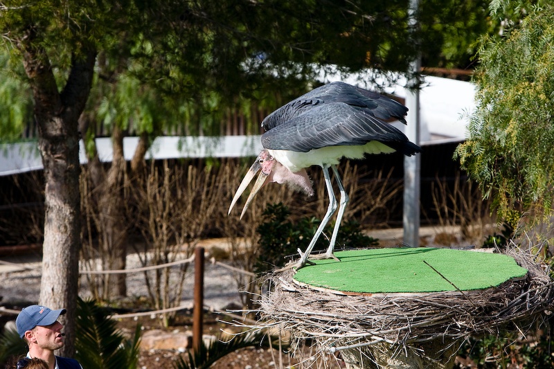 IMG_0549.jpg - Marabout