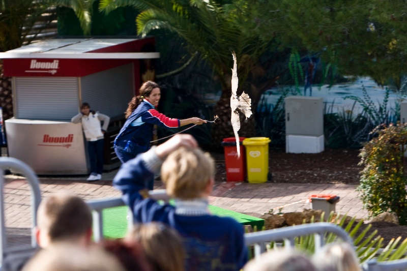 IMG_0686.jpg - à plus de 200 km/h