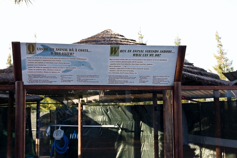 IMG_1671.jpg - cenclos pour animaux ne faisant pas partie du parc, mais qui sont arrivés en mauvaise santé pour traitement.