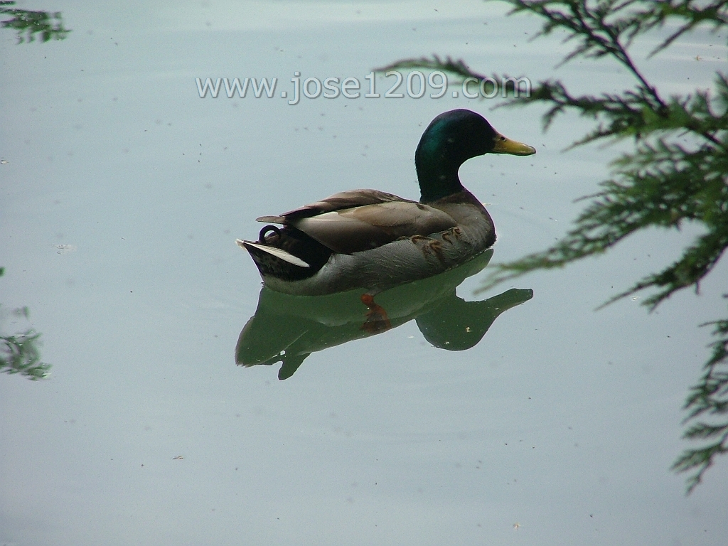 DSCF7086