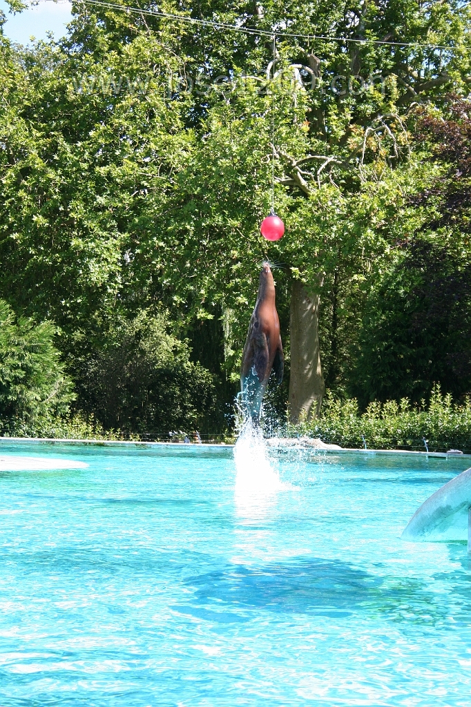 IMG_9466