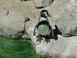 DSCF8063