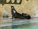 DSCF8148