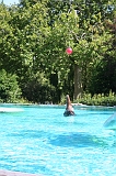 IMG_9465