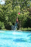 IMG_9467