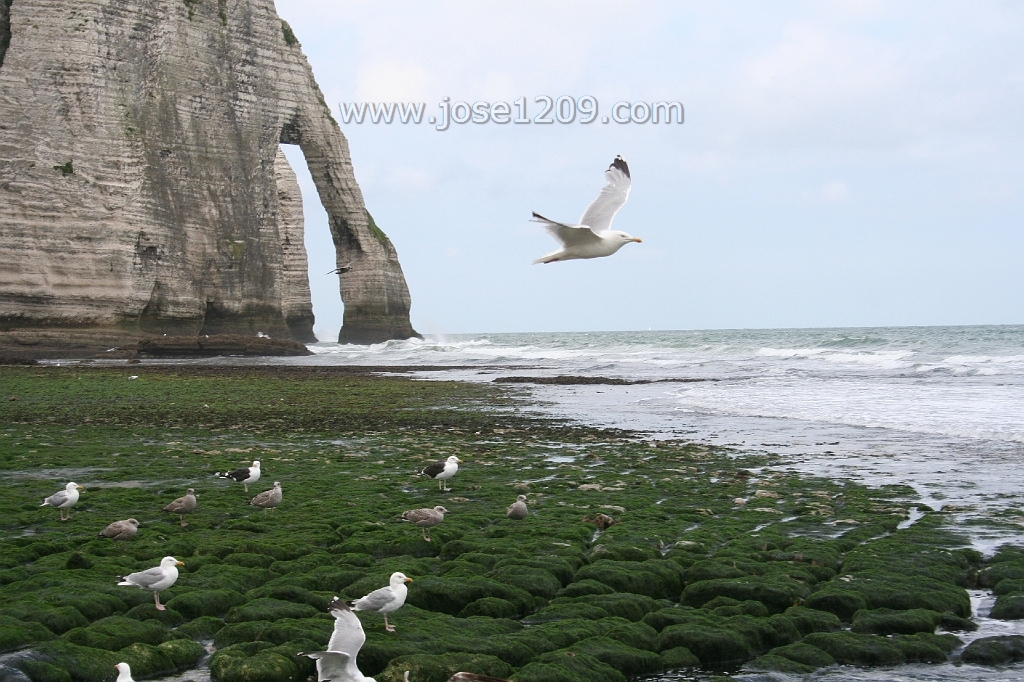 etretat4