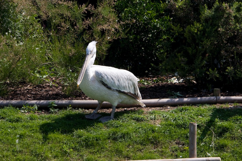 IMG_7475.jpg