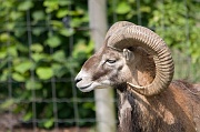 IMG_7207