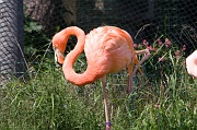 IMG_7290