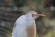 IMG_7300
