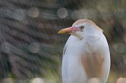 IMG_7304