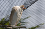 IMG_7331