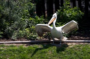 IMG_7479