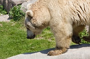 IMG_7545