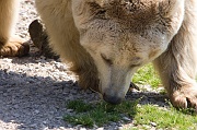 IMG_7597