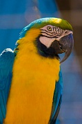 IMG_7658