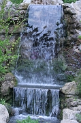 IMG_3666