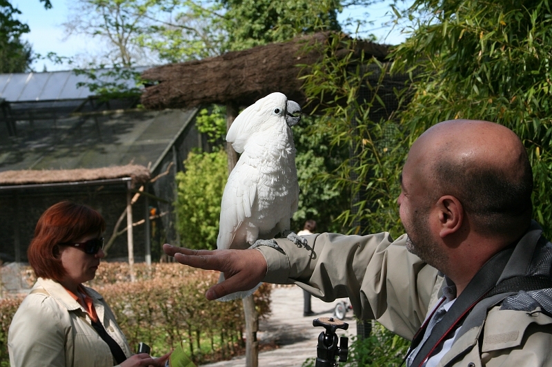 IMG_7687.JPG - idem je n'aime pas trop me mettre en scène ici , mais bon !