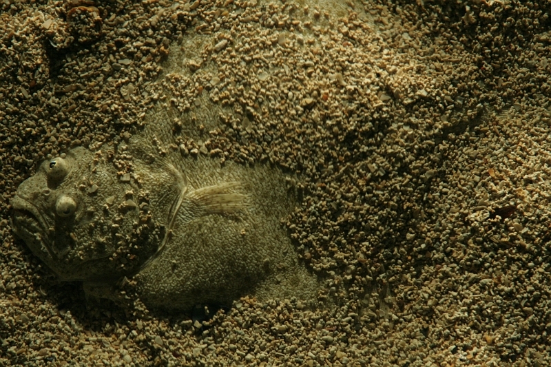 IMG_7808.JPG - Idem au 350D en 800 iso par ma copine excellente photo