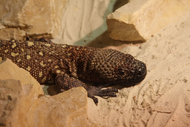 jose323.JPG - 1600 isos 40D