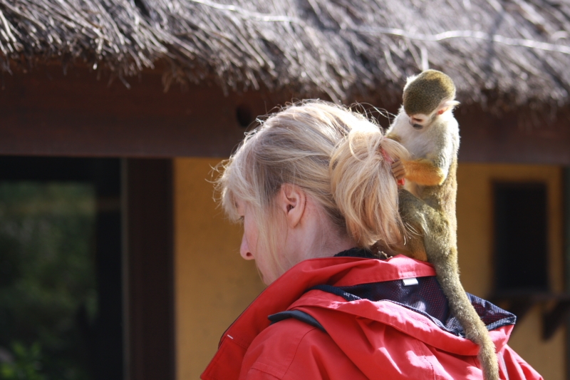 jose522.JPG - pareil mise en scène réservée aux galleries privées mais bon la photo est excellente ! il y en a plein d'autres dans les galleries privées