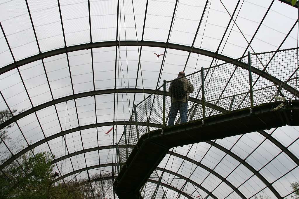 wtat5.JPG - de la haut j'ai pu avoir une vue imprenable, jetez un oeil sur le panarama des photos montage.